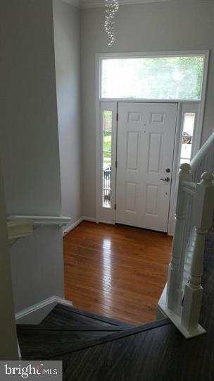 Building Photo - 4709 Caronia Way