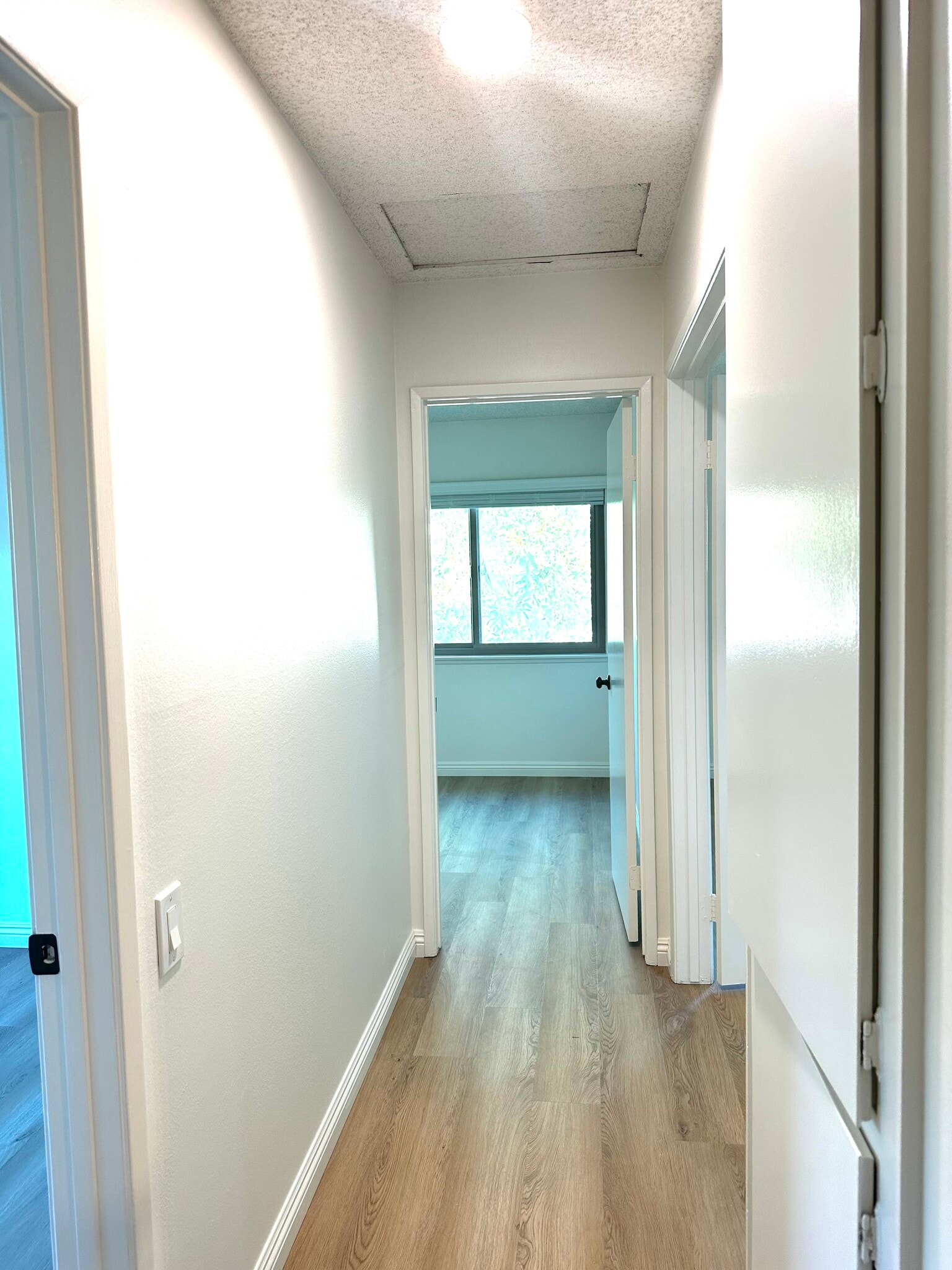 Building Photo - 2207 Moss Ct