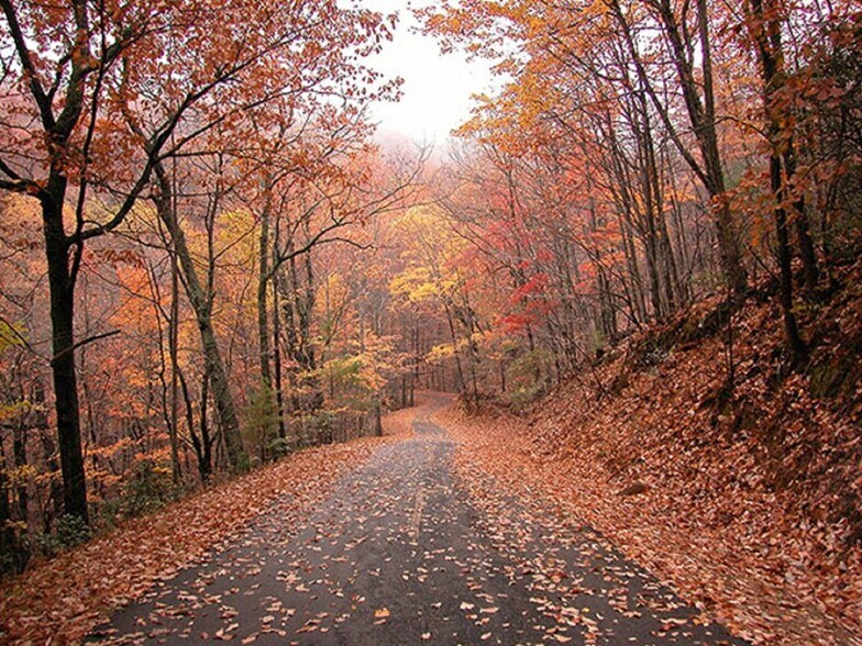Fall view on one of the streets in Big Canoe - 404 Owls Brow