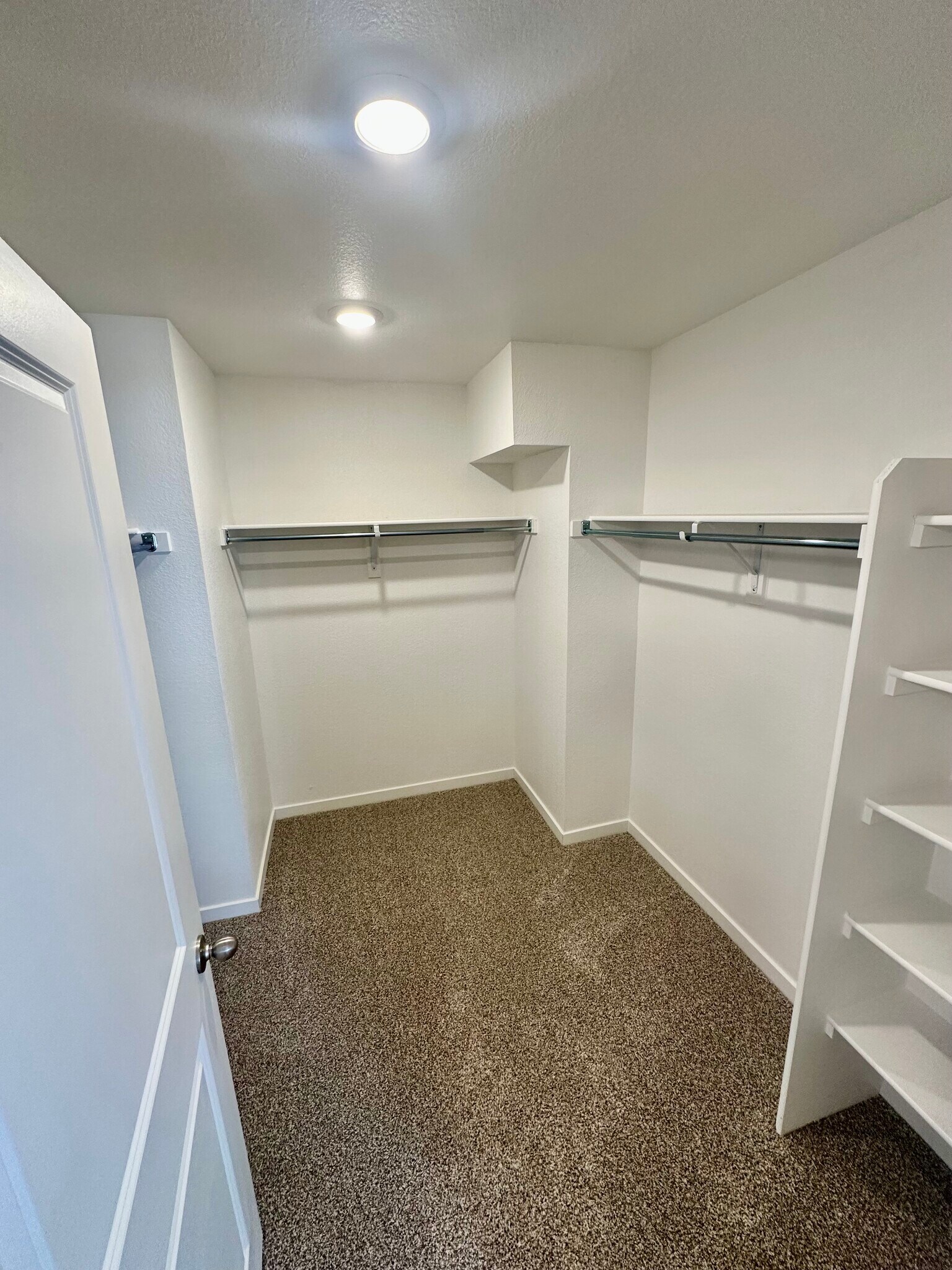 Building Photo - 4698 Combine Ln