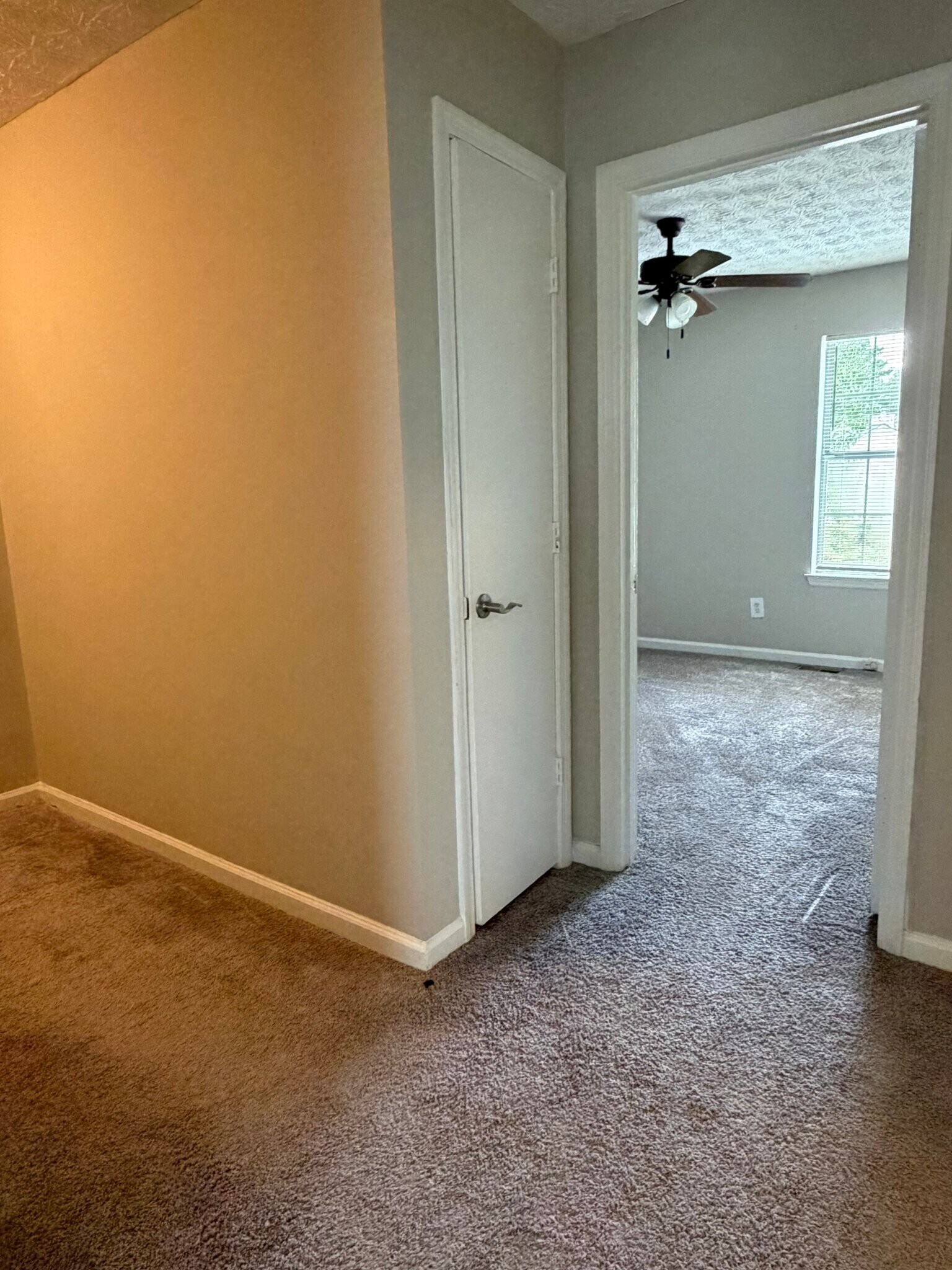 Building Photo - 3690 Stephanie Ct