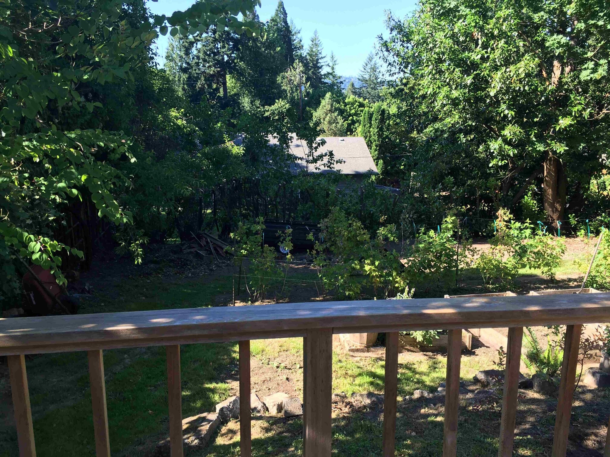 Yard - 5007 SW Custer St