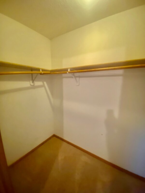 Building Photo - 205 E Bengal Dr