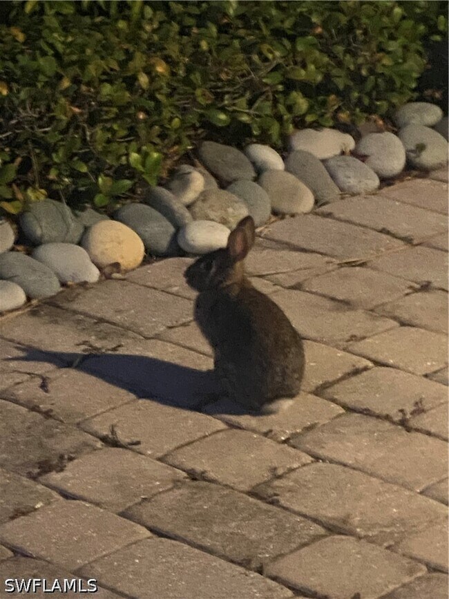 Building Photo - 306 Emerald Bay Cir