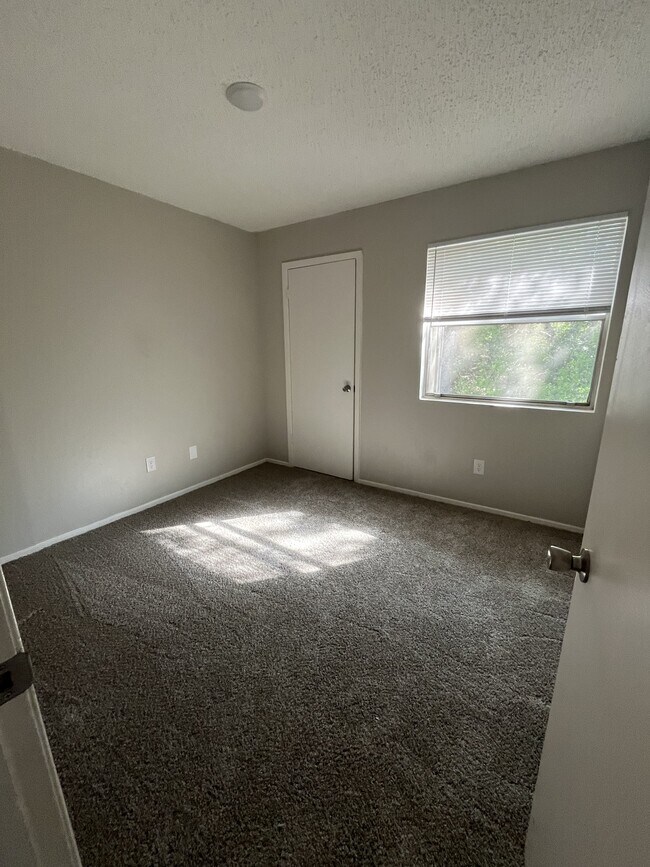 Building Photo - 815 Bracewood Cir