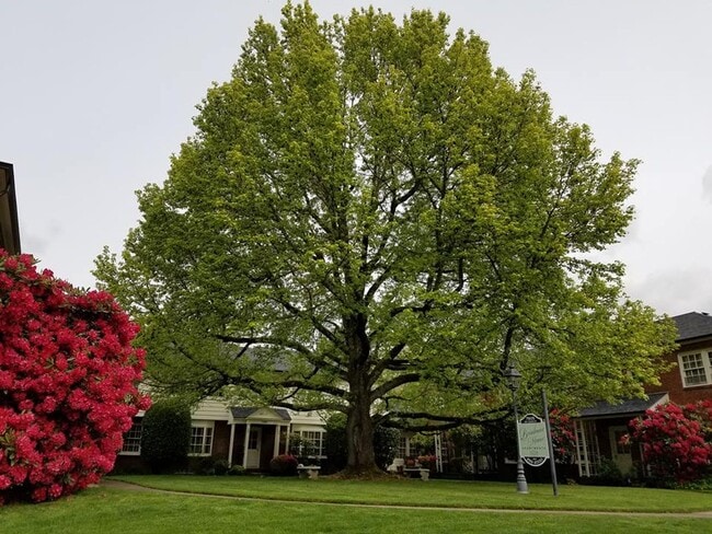 Interior Photo - Broadmoor Manor