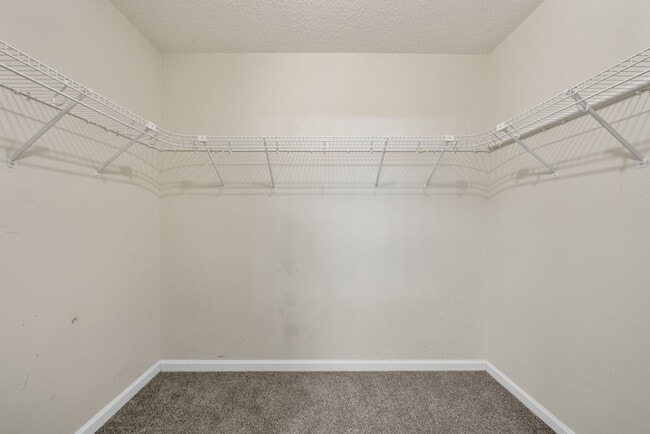 Building Photo - 3793 McAllister Dr