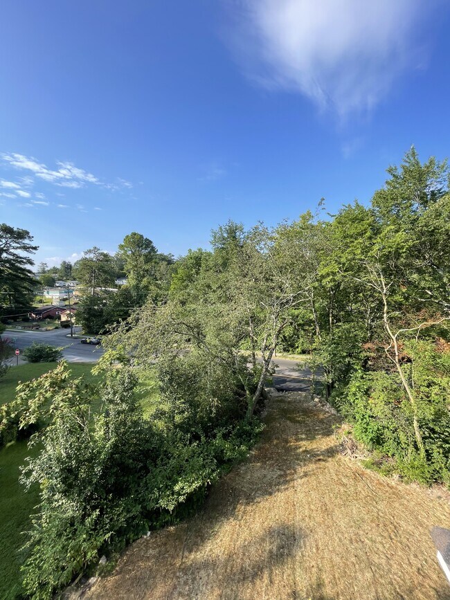 Building Photo - 2719 Orton St