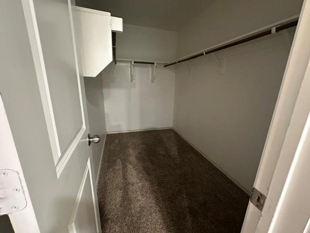 Building Photo - 1202 Meadow Wood Ct