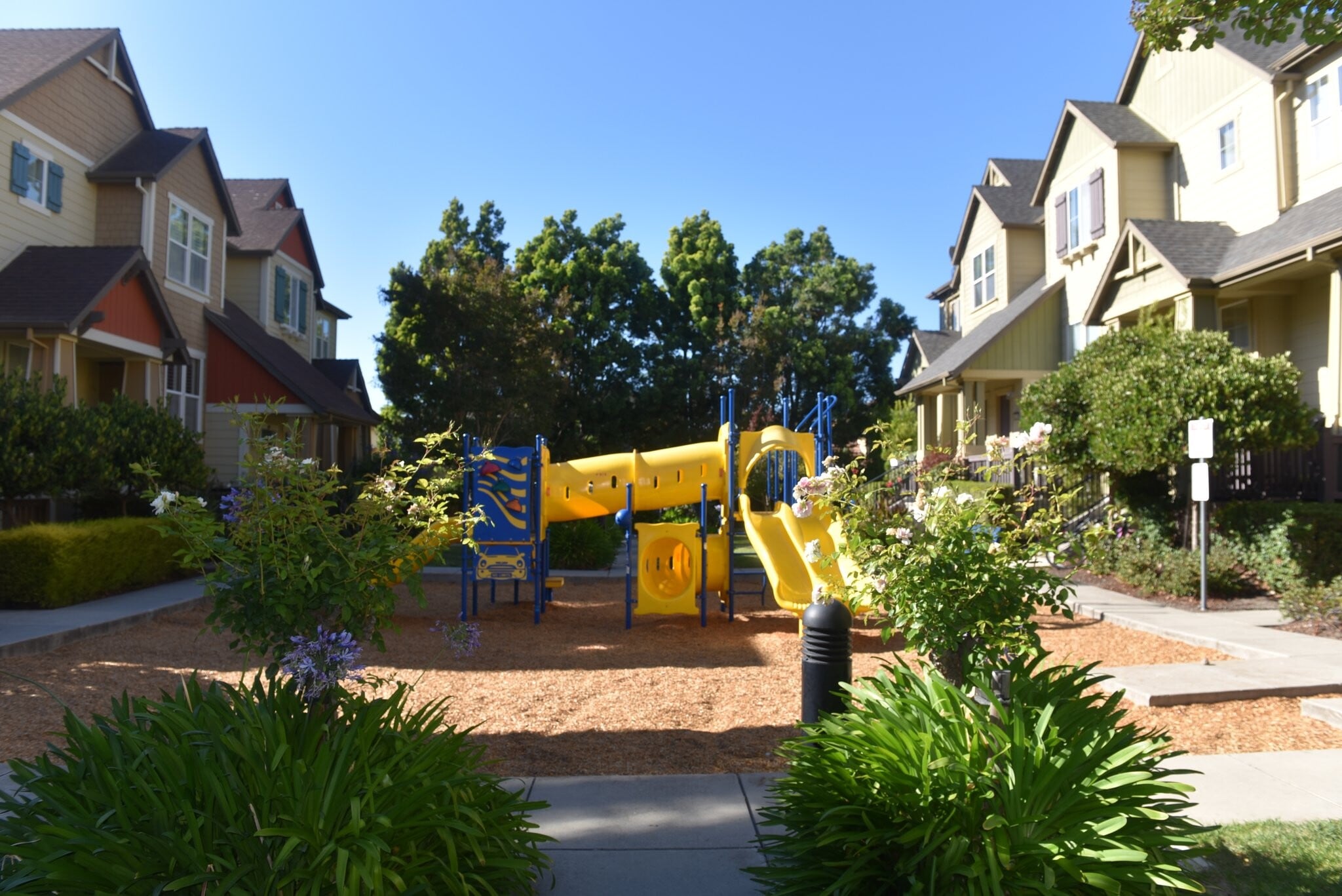 Building Photo - 449 Pariso Terrace