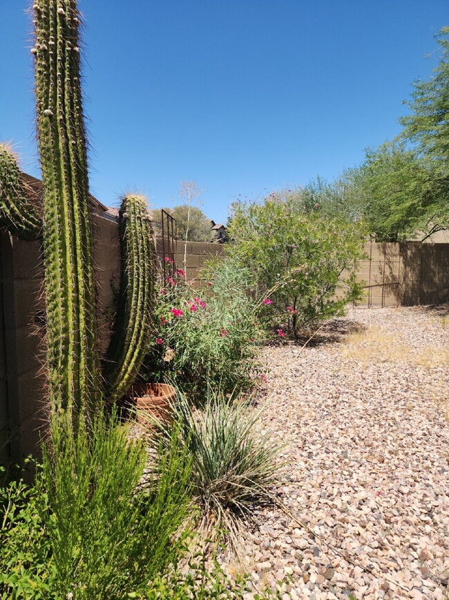 Building Photo - "Charming Anthem Retreat: 3-Bed, 2-Bath Ge...