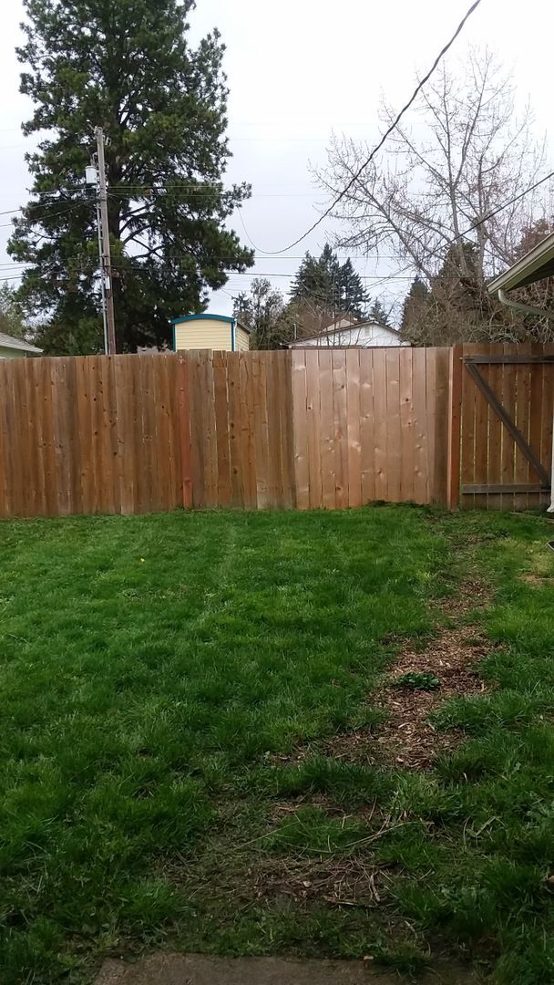 Building Photo - Cozy 3 Bedroom in The Friendly Neighborhood