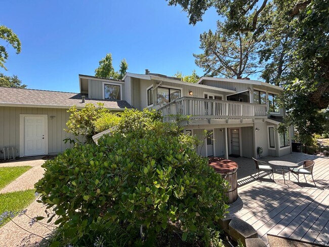 Building Photo - Must See Spacious Alamo 4BR Home with Remo...