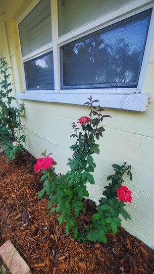 Building Photo - 2714 Grove St