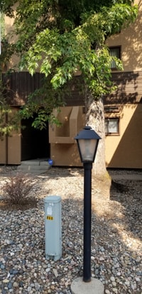 Building Photo - 866 Pebblewood Dr