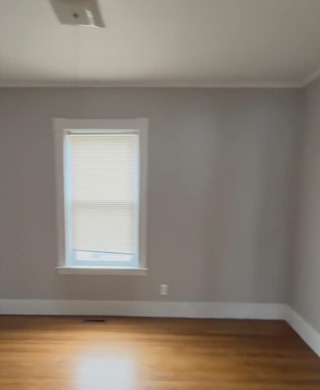 Building Photo - 29 Abbott St