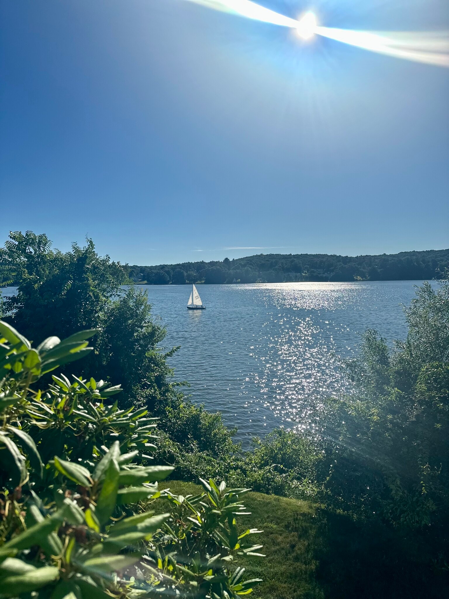 Building Photo - 19 Mattson Ave