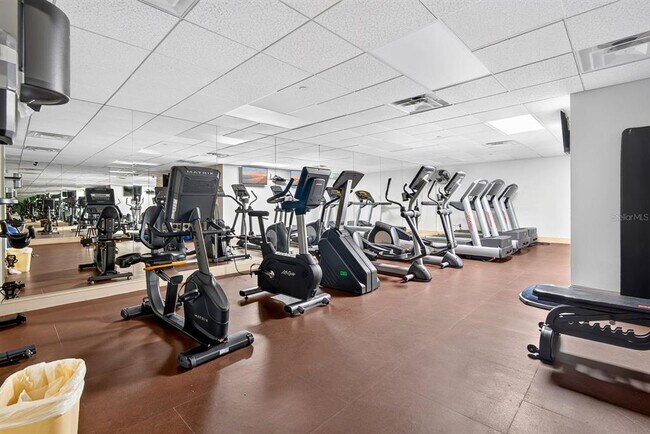 Building Photo - 345 Bayshore Blvd