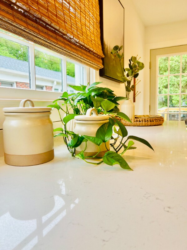 Building Photo - 707 Bellview St