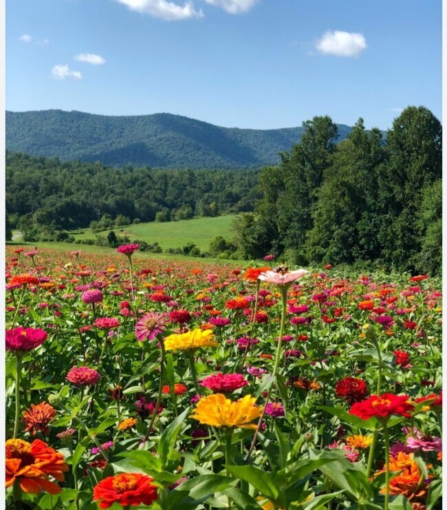 Building Photo - 303 Sugar Top Dr