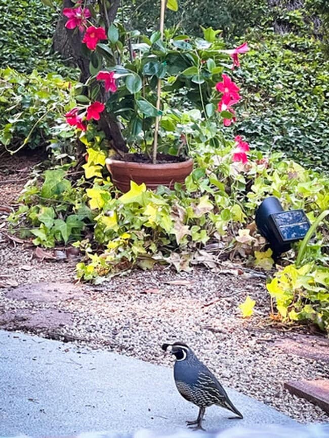 Building Photo - Beautifully Updated & Remodeled Townhome o...