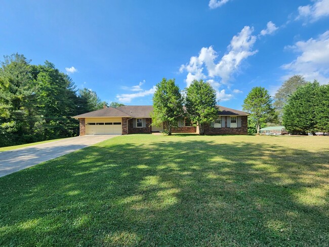 Primary Photo - Large Black Mountain Rental