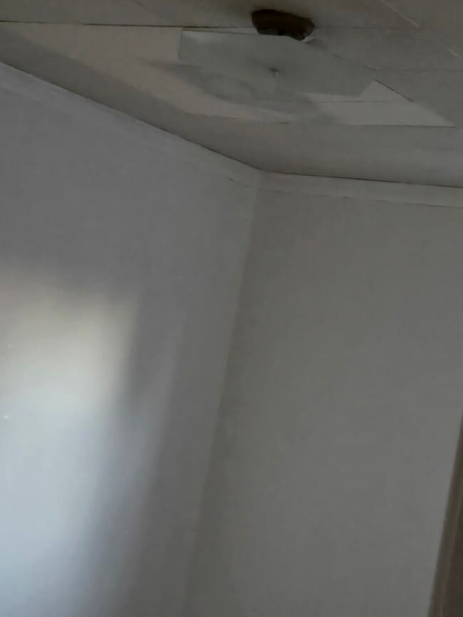 Building Photo - 2445 Brookwood St