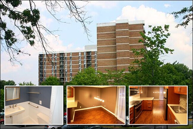 Building Photo - Large 2br/2ba - All utilities included in rent