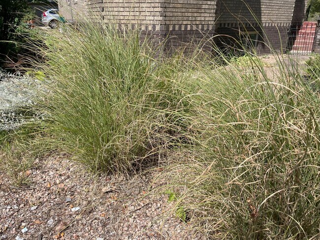 Building Photo - Downing St.