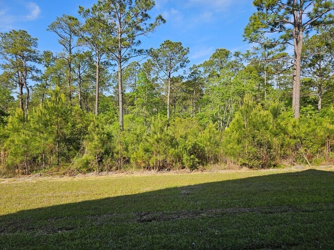 Building Photo - Brand new 3 bedroom 2 bath home in the Sou...