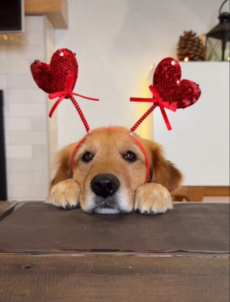 Building Photo - 20880 Ventura Blvd