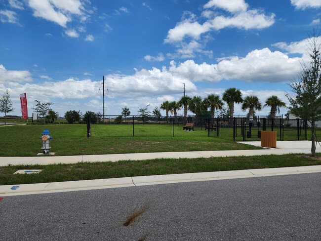 Building Photo - New 4 Bedroom 2 Bathroom Tarpon Bay