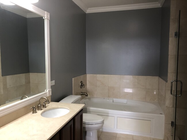 Master bath - 2510 W Irving Park Rd