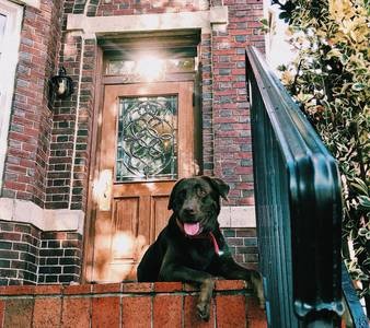 Dog Friendly - 3210 17th St NW