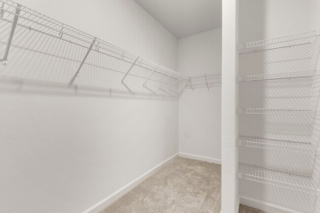 Building Photo - 3106 Bolt Rope Dr