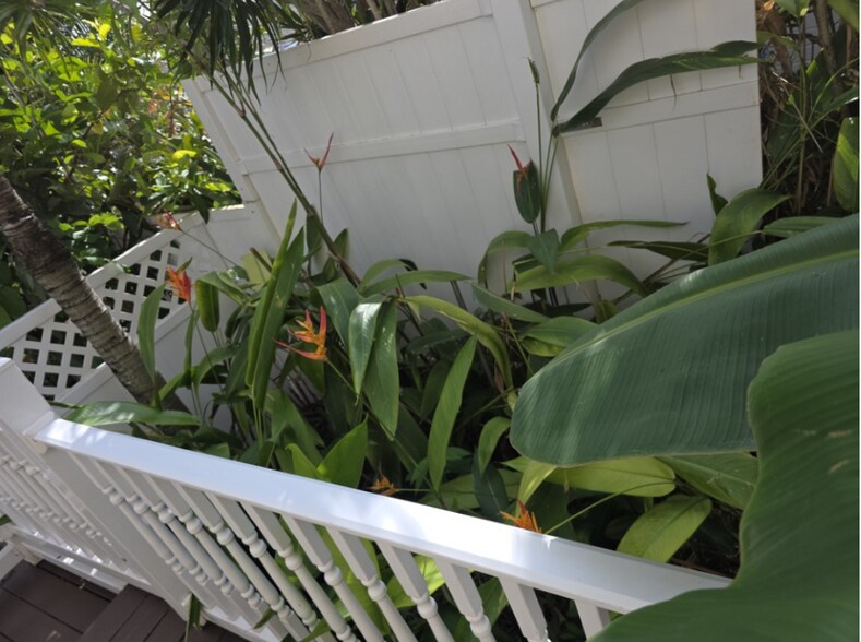 Building Photo - 2407 Saint Louis Dr