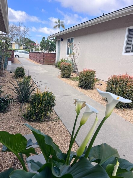 Sidewalk thru property goes from off-street parking in back to front street - 3675 Cherokee Ave