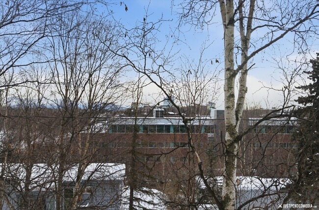 Building Photo - Downtown Living