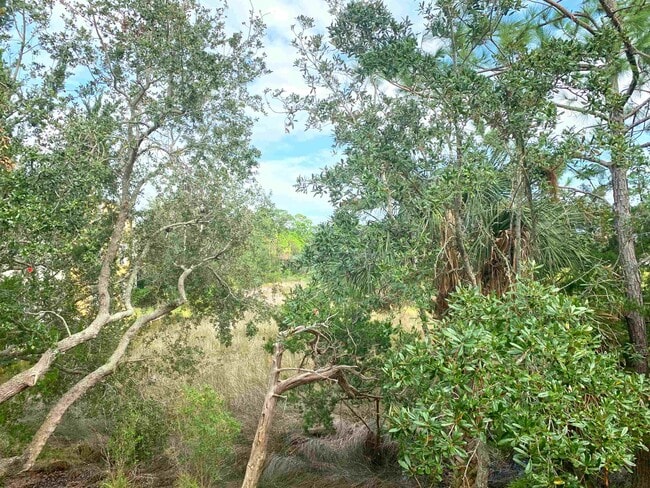 Building Photo - 2005 Mariposa Vista Ln