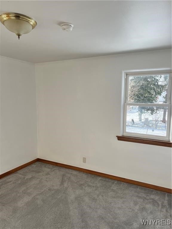 Building Photo - 49 Youngs Rd