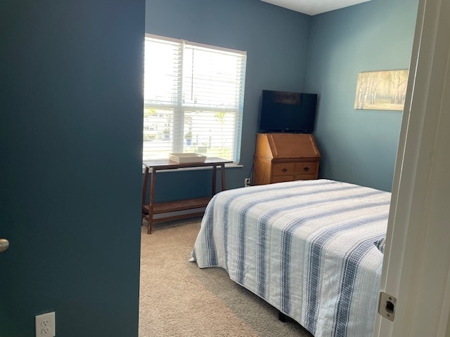 front bedroom - 140 Oak Valley Ct