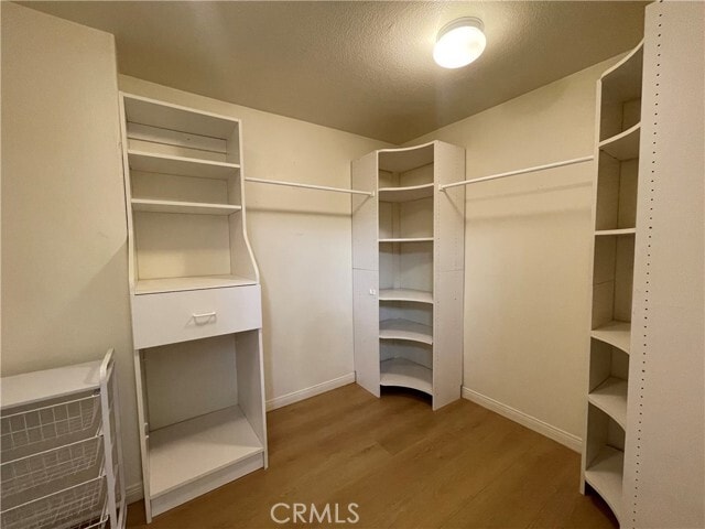 Building Photo - 16 Rosenblum