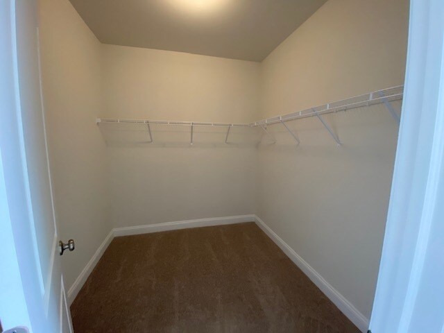 Master Bedroom Walk-in Closet - 224 Charles Ellis Dr