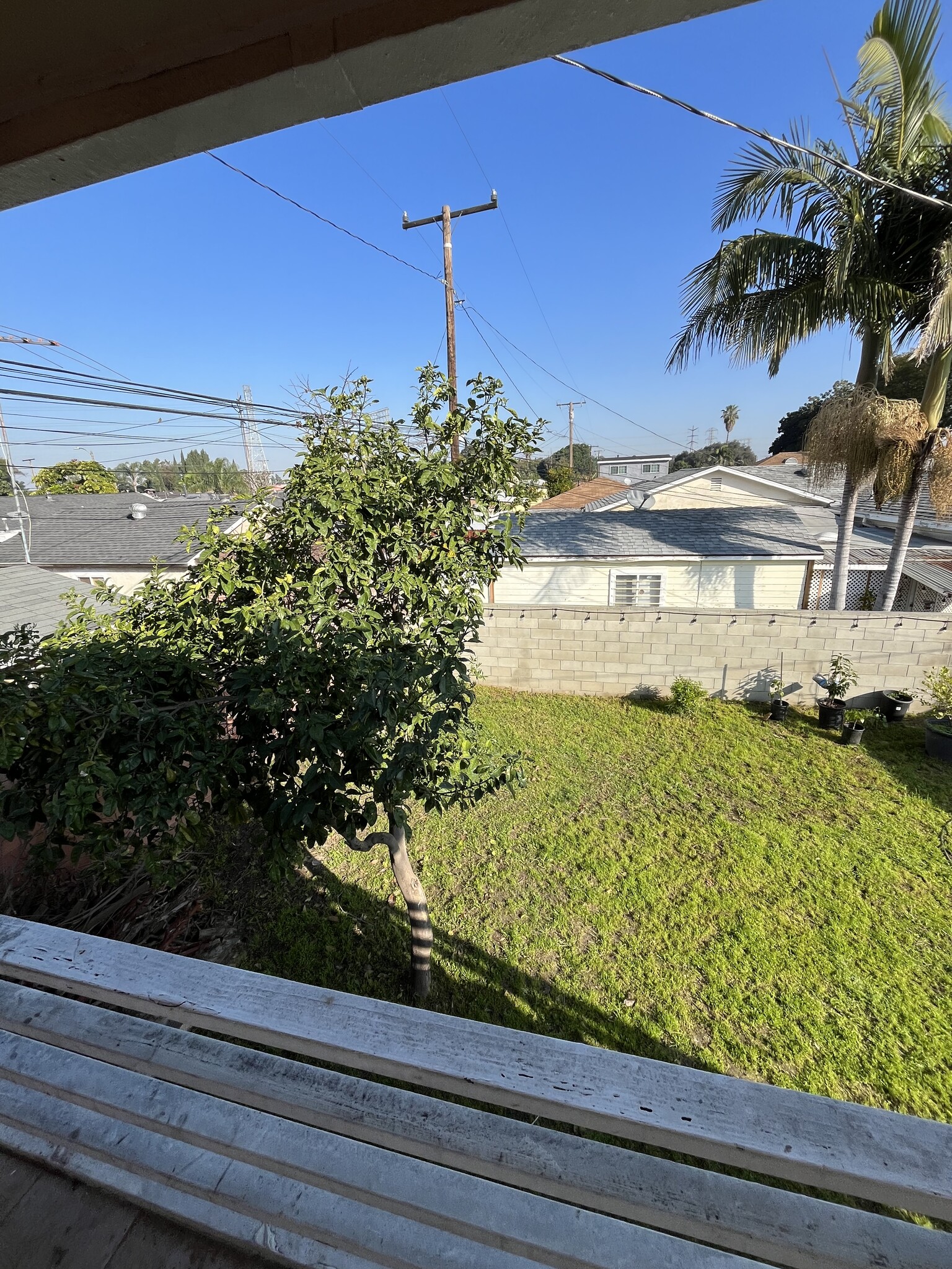 View from patio - 3447 Caspian Ave