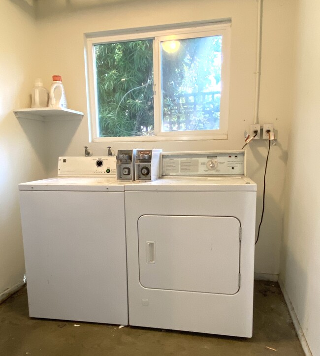 Shared coin operated laundry downstairs - 110 S Grand Oaks Ave