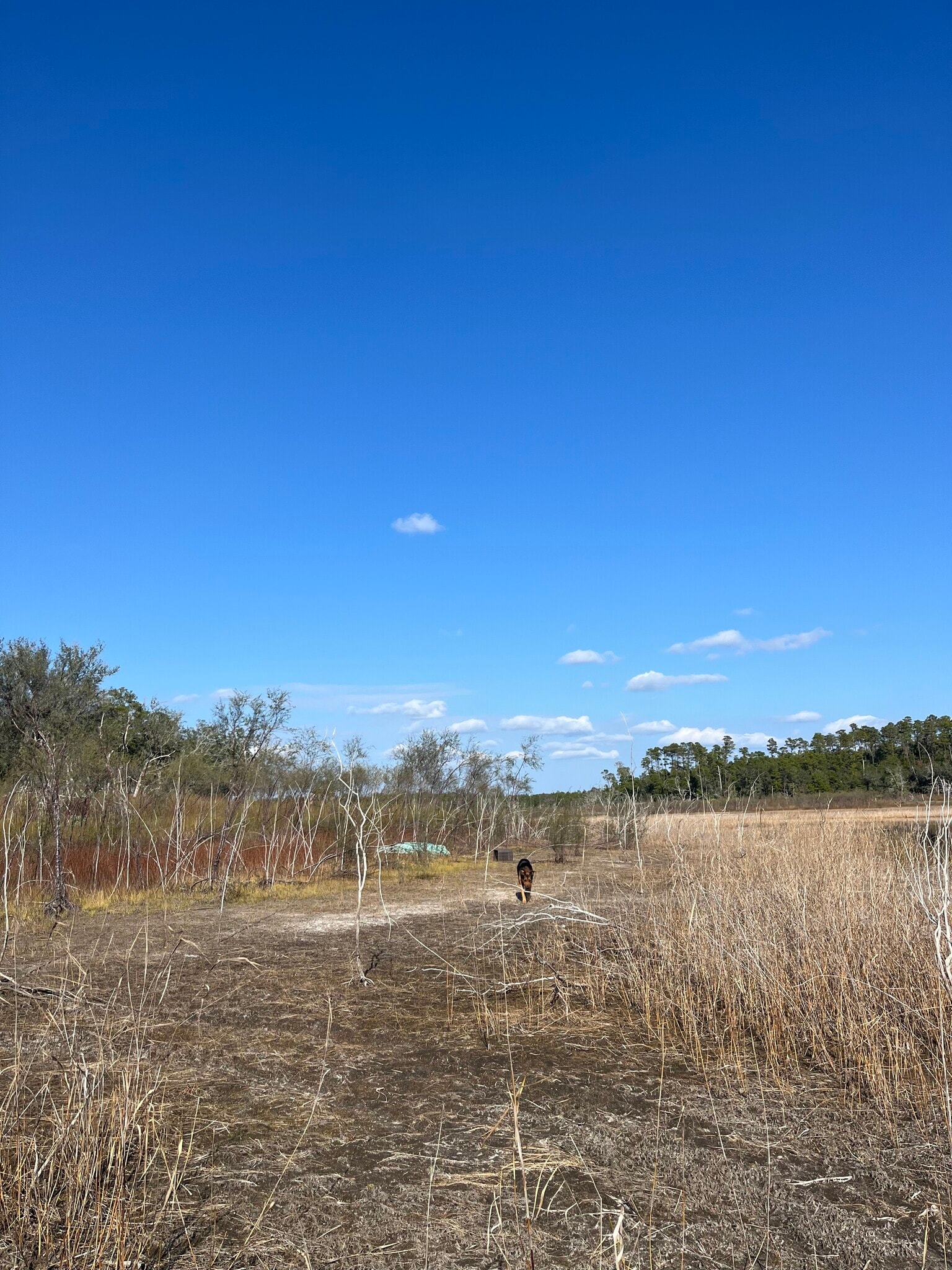 Building Photo - 2894 River Lake Dr