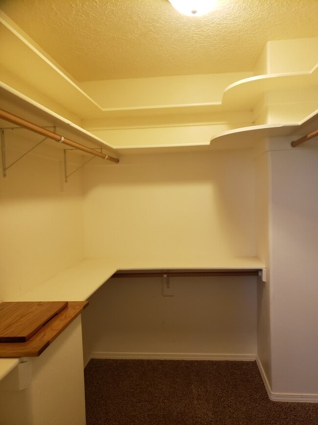 Building Photo - Nice 4 Bedroom home in Mesa Vista Subdivis...
