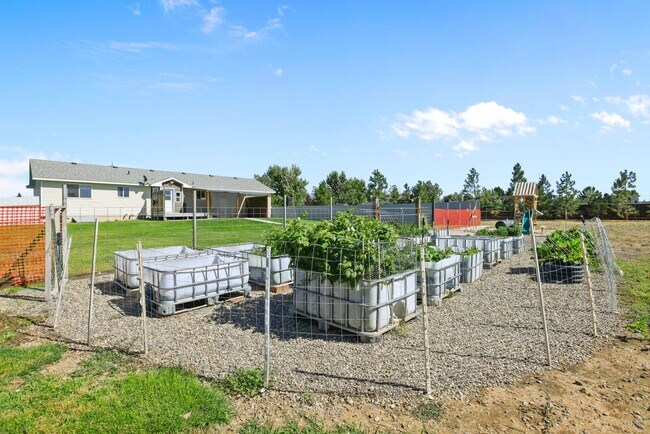 Building Photo - 5 Bed 3 Bath Home in Rigby