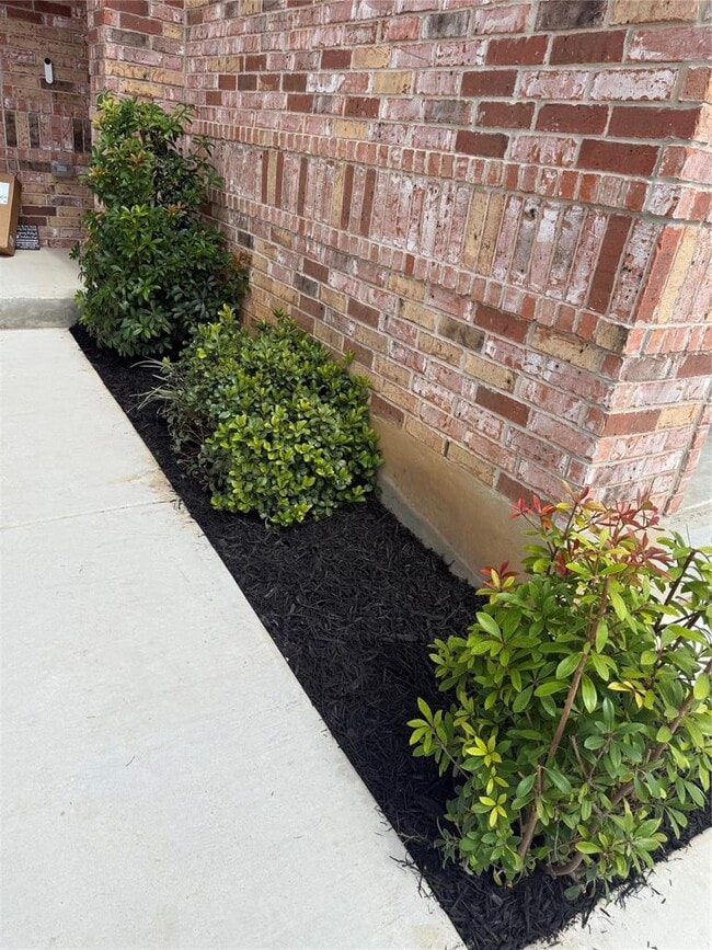 Building Photo - 4416 Avellino Dr