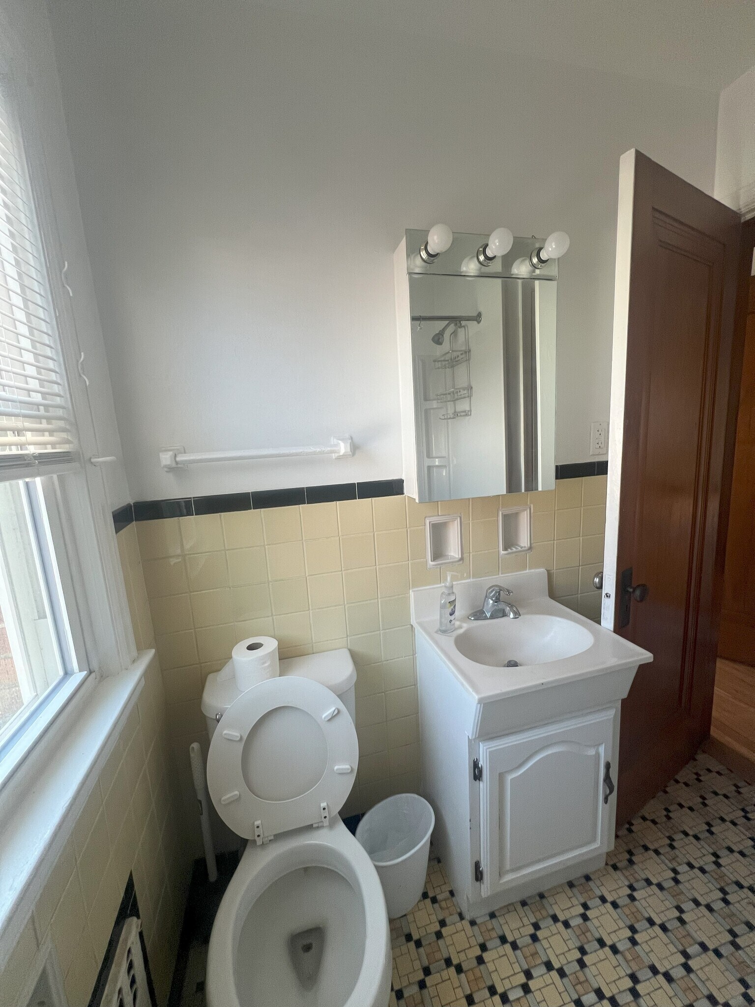 Bath view 2 - 2009 Carey Ct